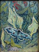 Vincent Van Gogh Butterflies Spain oil painting artist